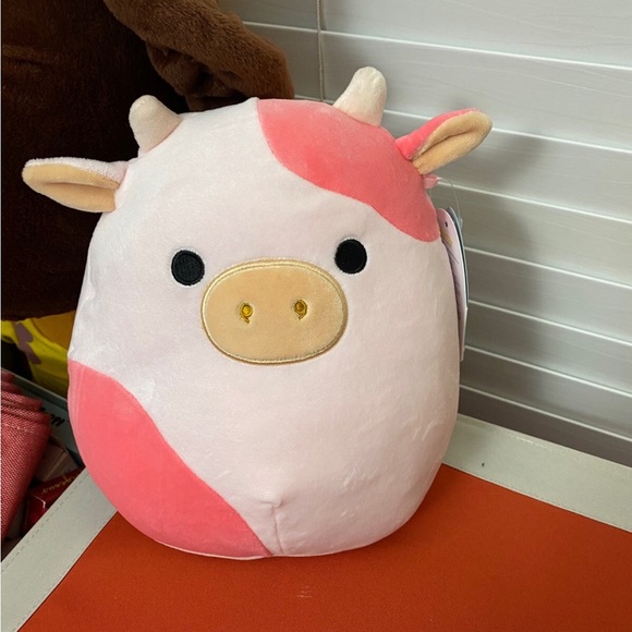 Reshma & Evangelica Squishmallow Bundle - Picture 2 of 7